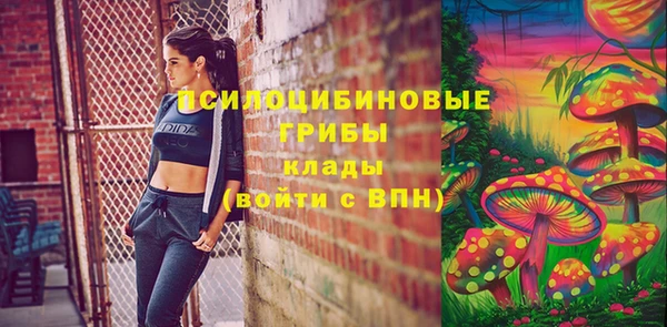 прущие грибы Липки