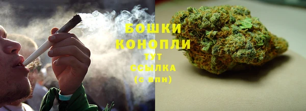 индика Уссурийск