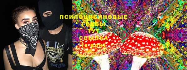 прущие грибы Липки