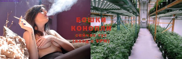 прущие грибы Липки