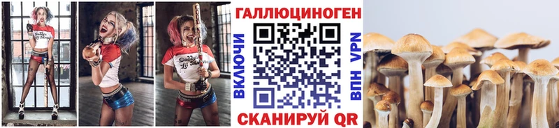 Галлюциногенные грибы Magic Shrooms Томмот