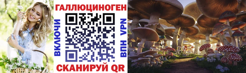 Галлюциногенные грибы GOLDEN TEACHER Томмот